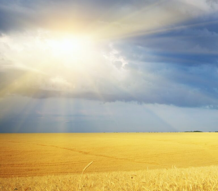 Blog 3.jpeg Blog 3.jpeg