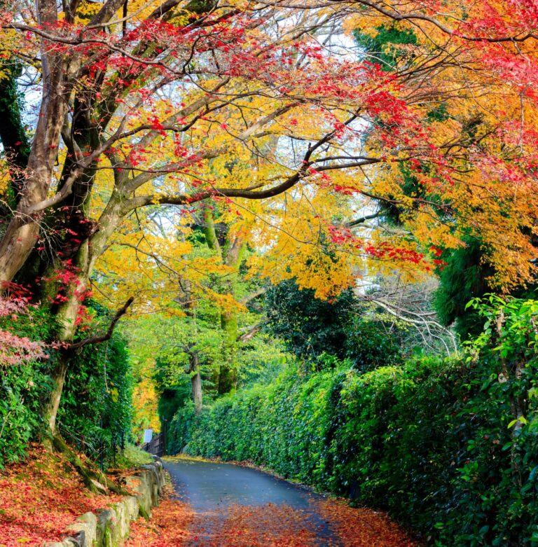 Blog 5.jpeg Blog 5.jpeg