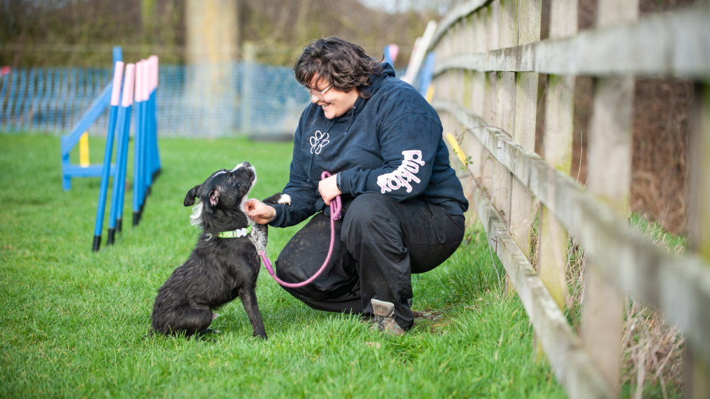 Pinkfox-1920x1080-speak.jpg Pinkfox-1920x1080-speak.jpg