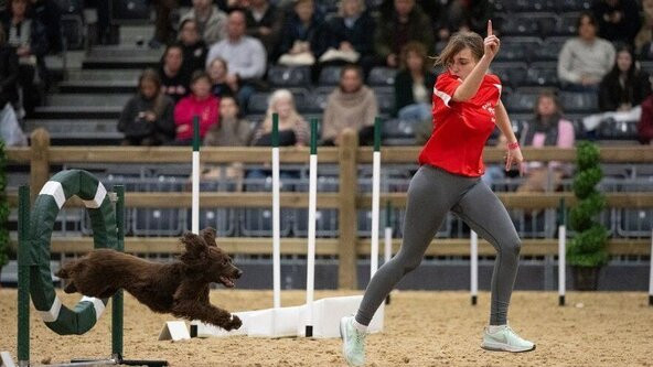alt_ratio_16x9_1x_rosie_running_with_brown_spaniel.jpg Agility Prep & Recover Workshops led by Rosie Rushin