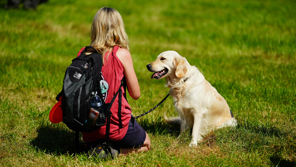 Involving Kids in Dog Agility Training