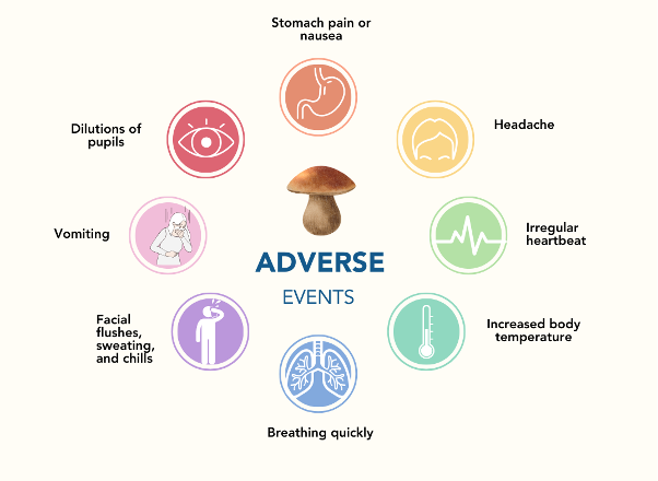 Adverse events following consumption of psilocybin - mychedelica - psychedelic medicine Adverse events following consumption of psilocybin - mychedelica - psychedelic medicine