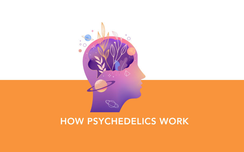 how-psychedelics-work.jpg how-psychedelics-work.jpg