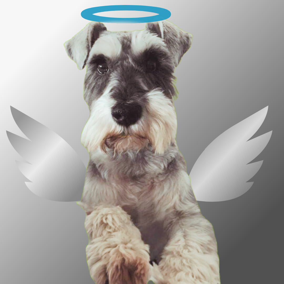 Harvey
