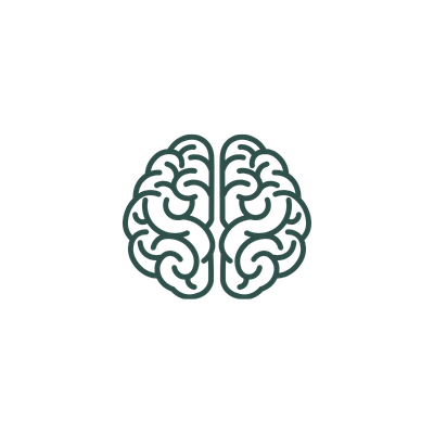 Outline of a brain