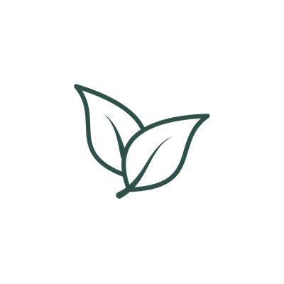 Outline of a leaf