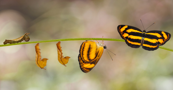 Fear of Change.png Fear of Change.png