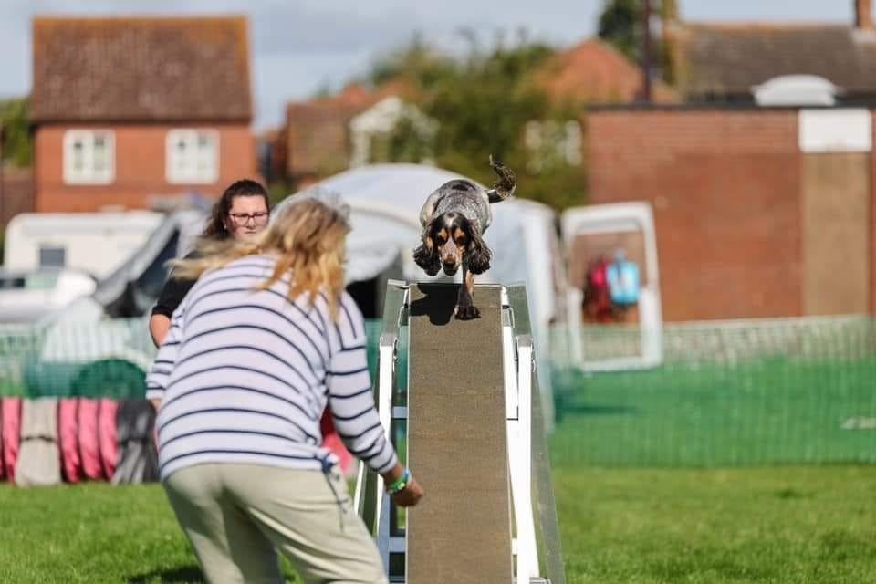 452319845_122139977972259246_227330659758315494_n.jpg 452319845_122139977972259246_227330659758315494_n.jpg