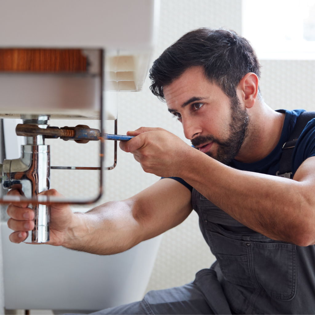 Untitled design (8).png