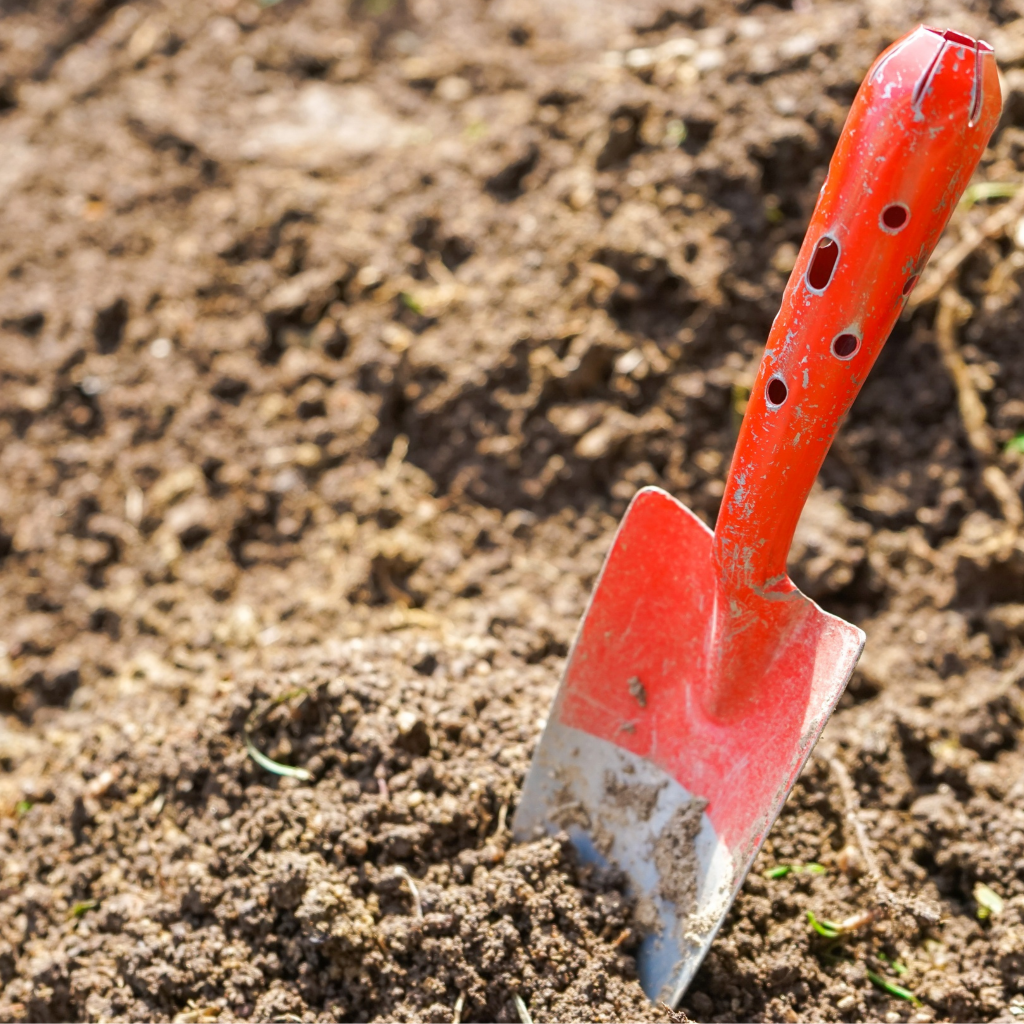 Untitled design (13).png