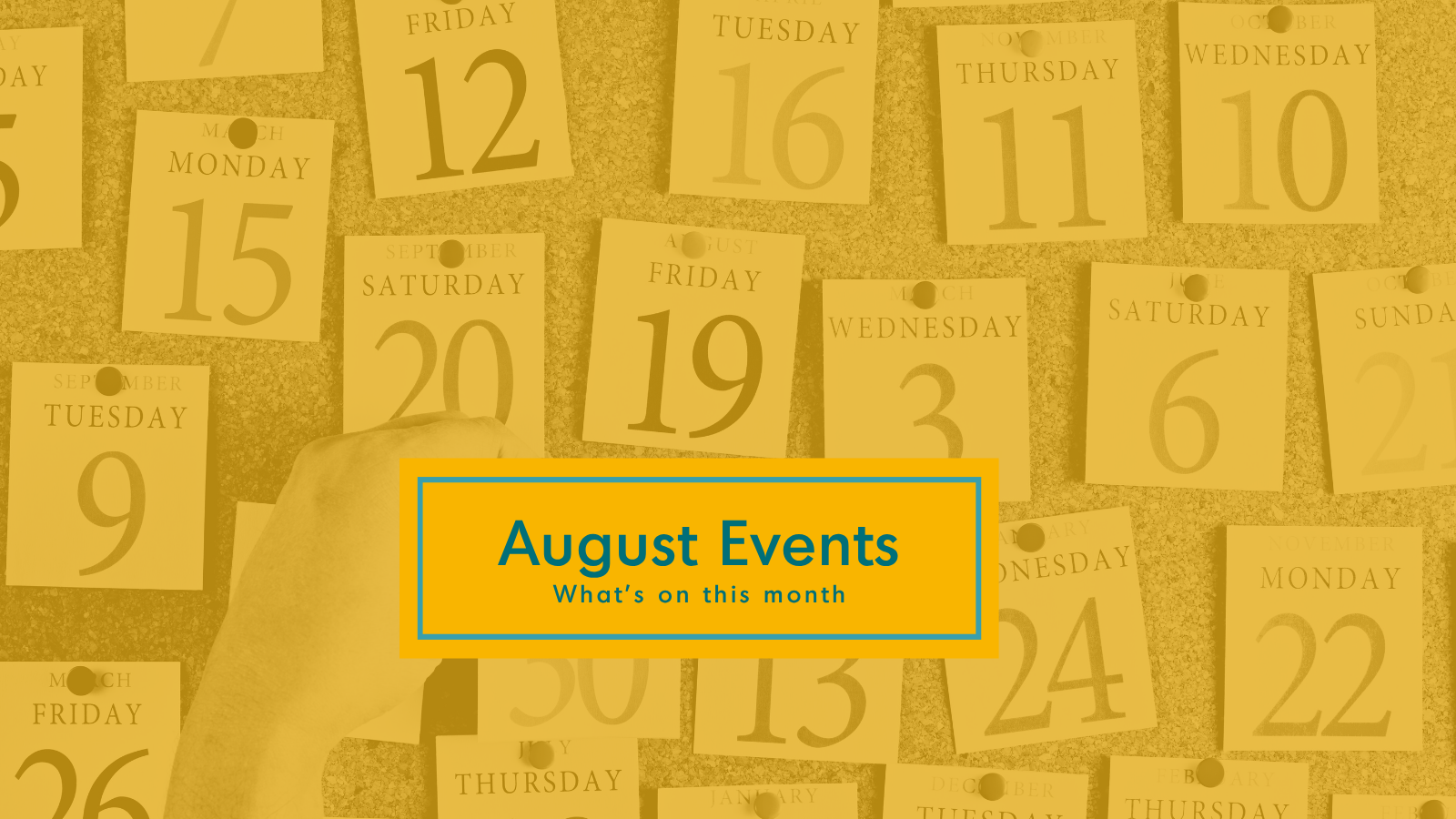 August Yellow.png