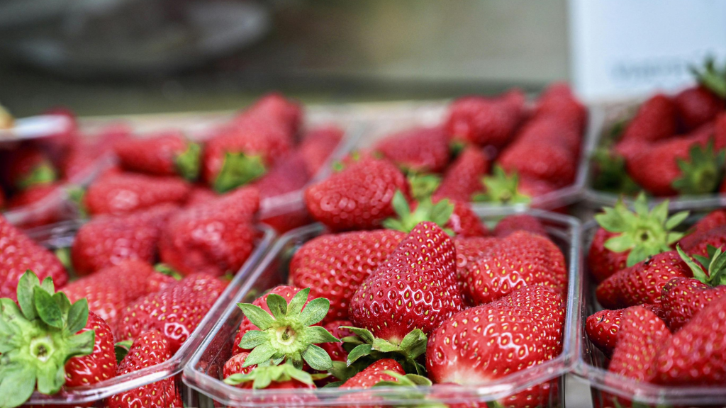 Upcoming Events Header (1600 x 900 px) (3).png