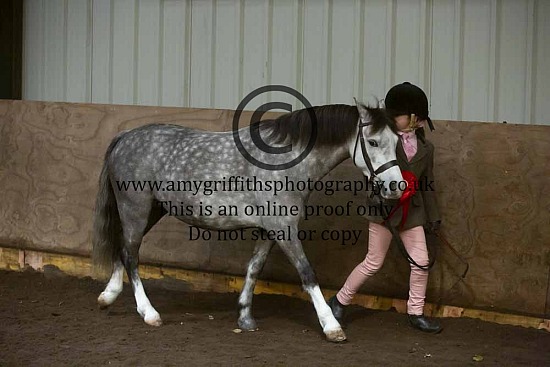 16th November - Tudor Rose WPCA 