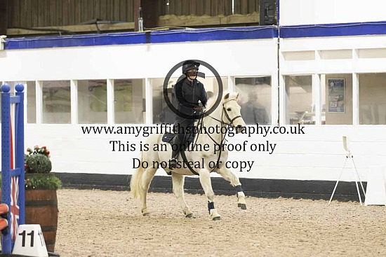 Richmond EC UA Showjumping - 21st February