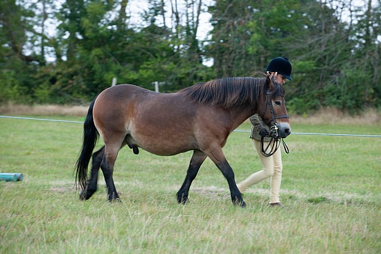 CLASS 7 - Section A: Senior In-Hand 