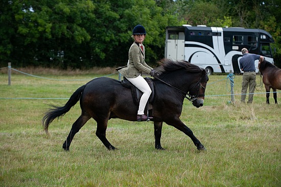 CLASS 7 - Section C: Ridden