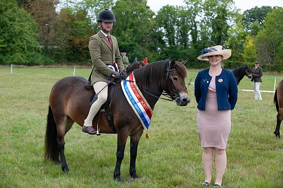 CLASS 7 - PONY OF THE YEAR CHAMPIONSHIP