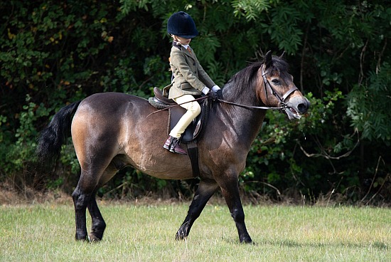 CLASS 14 - VERY NOVICE RIDDEN
