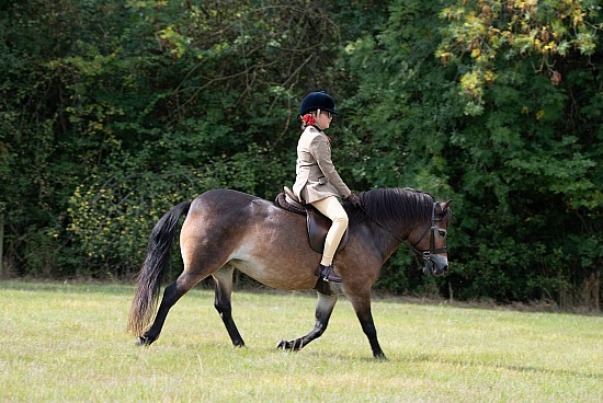 CLASS 17 - The NPS/Cooper Family M&M Junior Ridden
