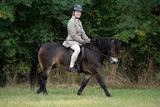 CLASS 18 - The NPS/PICTON M&M NOVICE RIDDEN