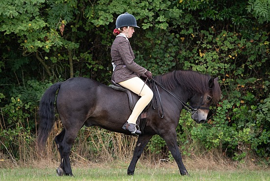 CLASS 21 - The NPS/RINGSIDE STUD M&M Open Ridden