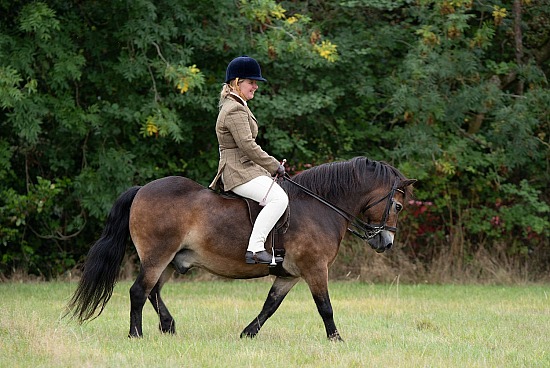 CLASS 20 The NPS M&M and BRP Amateur Ridden