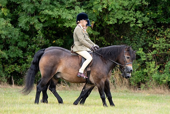CLASS 22 - RIDDEN PAIRS (UNAFFILIATED)