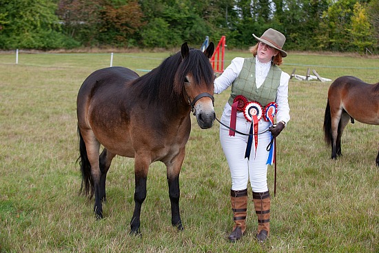 CHAMPIONSHIP (1) YOUNGSTOCK IN HAND 