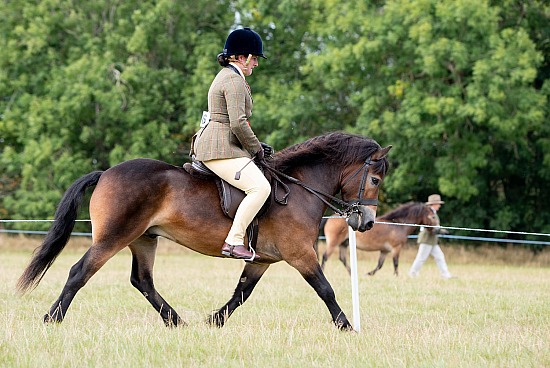 CHAMPIONSHIP (4) RIDDEN 