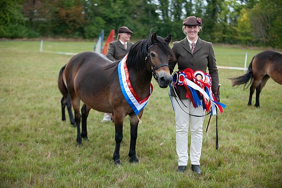 OVERALL IN HAND CHAMPIONSHIP (3)