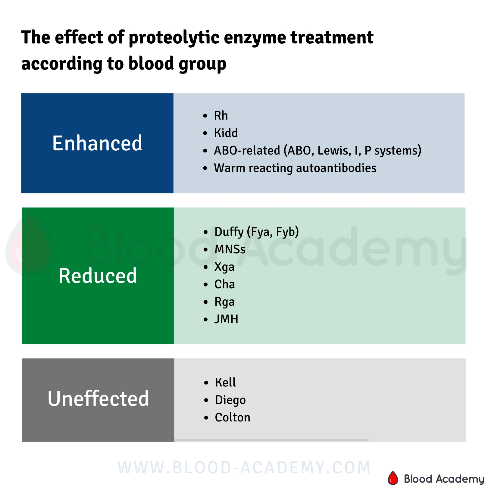 Effect of proteolytic enzyme treatment according to blood group Blood