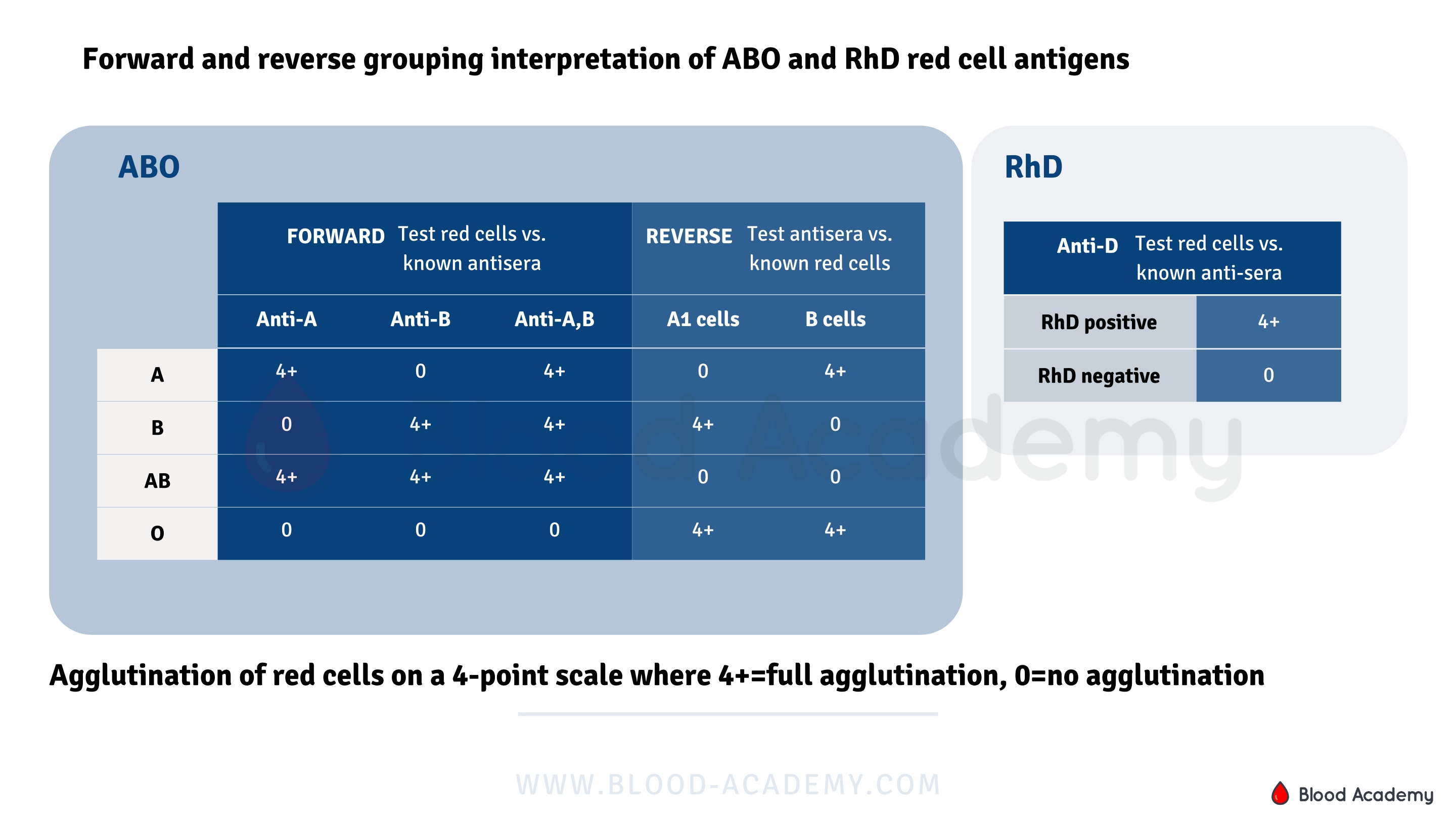 Forward and reverse grouping interpretation of ABO and RhD red cells ...