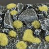 Beige - Wild Tufts 2mm 1
