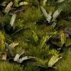Laser Plants - Banana Tree 4