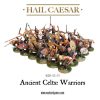 Ancient Celts: Celtic Warriors 2