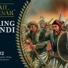 Viking Bondi 1