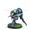 NA2 Chaksa Longarms 3