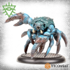 Rashaar: Brachyura 1