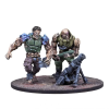 Plague Infection Starter 9