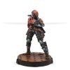 Nomad Tomcats 6
