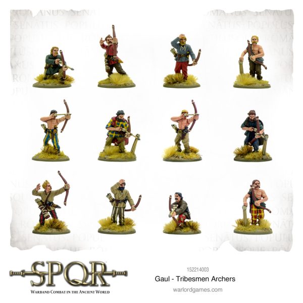 SPQR: Gaul Tribesmen Archers 2