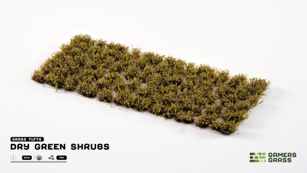 Dry Green Shrubs 1
