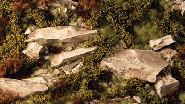 Dry Green Shrubs 3
