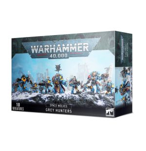 Space Wolves: Grey Hunters/Blood Claws/Wolf Guard (old) 1