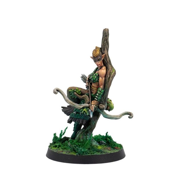 Protectors of the Forest 5