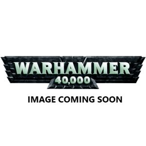 Space Marines: Heroes of the Chapter 1