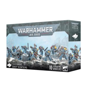 Space Wolves: Grey Hunters 1