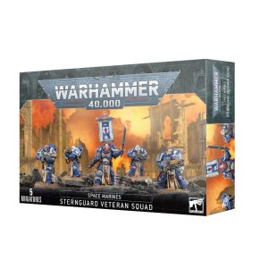 Space Marines: Sternguard Veteran Squad 1