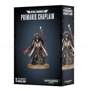 Space Marines: Primaris Chaplain 1