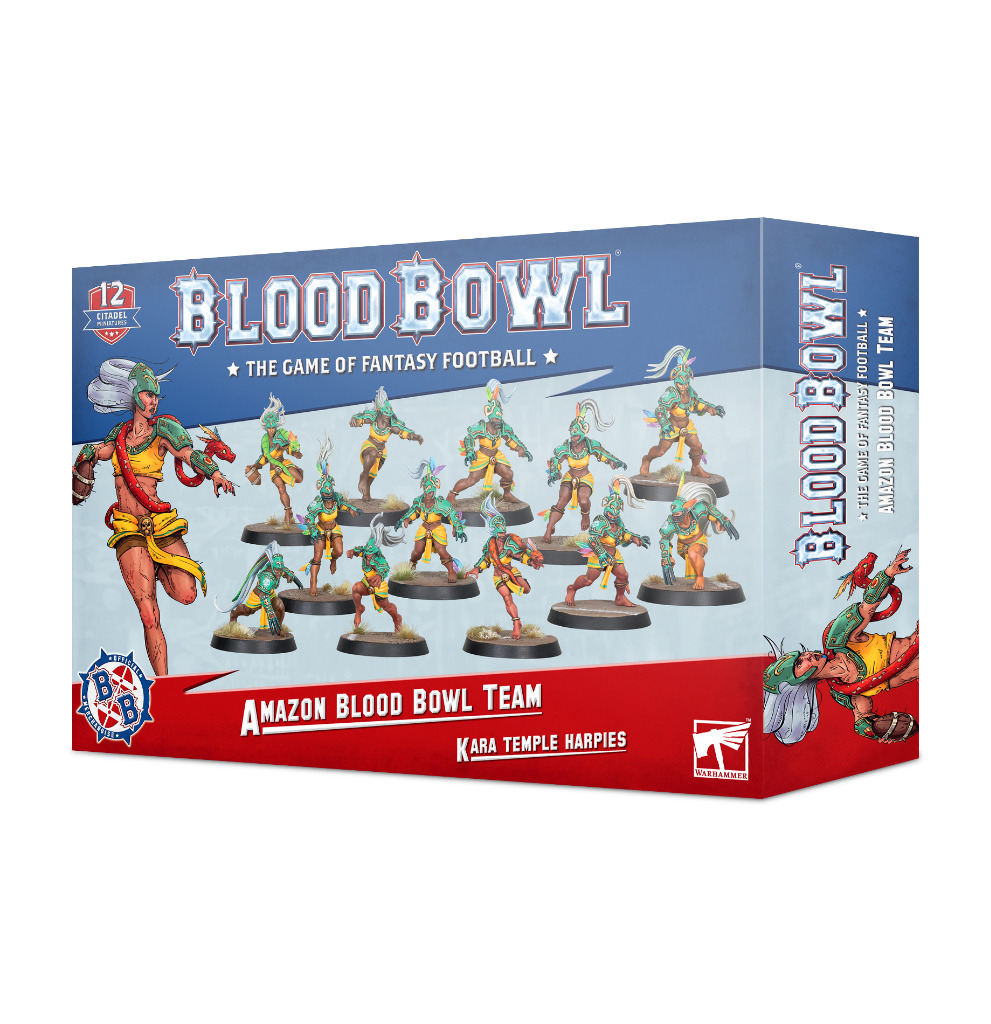 Blood Bowl: Amazon Team - Kara Temple Harpies 1